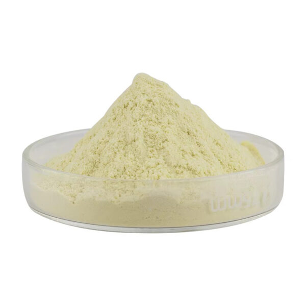 Pale yellow kaempferol powder forming a loose mound in a shallow transparent glass dish, viewed from the side.
