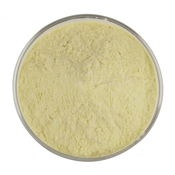 Kaempferol powder displayed in a round glass dish, showing its pale yellow color and fine powder texture from above.