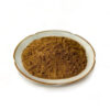 Side-angle close-up of brown kudzu root extract powder heaped inside a shallow white and gold-rimmed dish