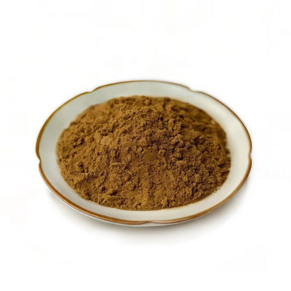 Side-angle close-up of brown kudzu root extract powder heaped inside a shallow white and gold-rimmed dish