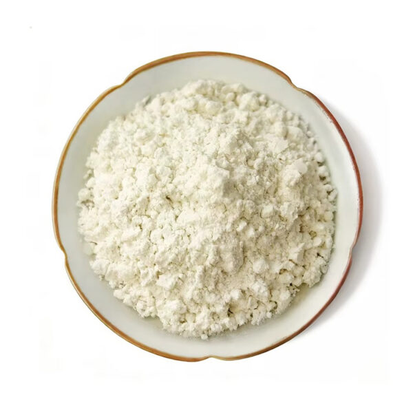 Papaya extract powder with pale cream coloring and small clumps displayed in a shallow ceramic dish from overhead