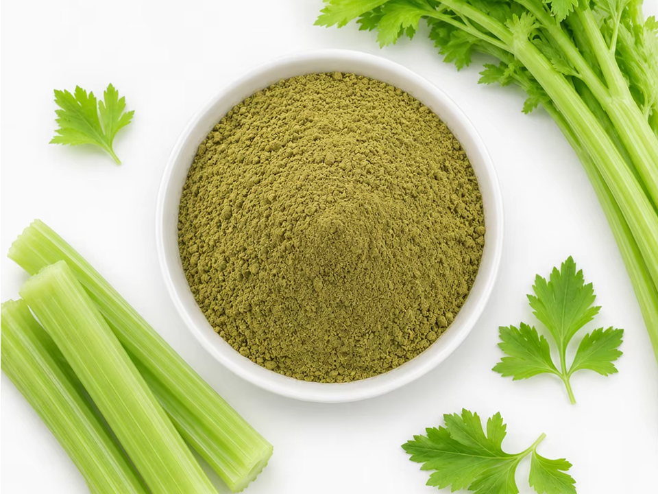 Onions, soybeans, cocoa beans, celery, red grapes and rice bran arranged with labels for their main phytochemicals