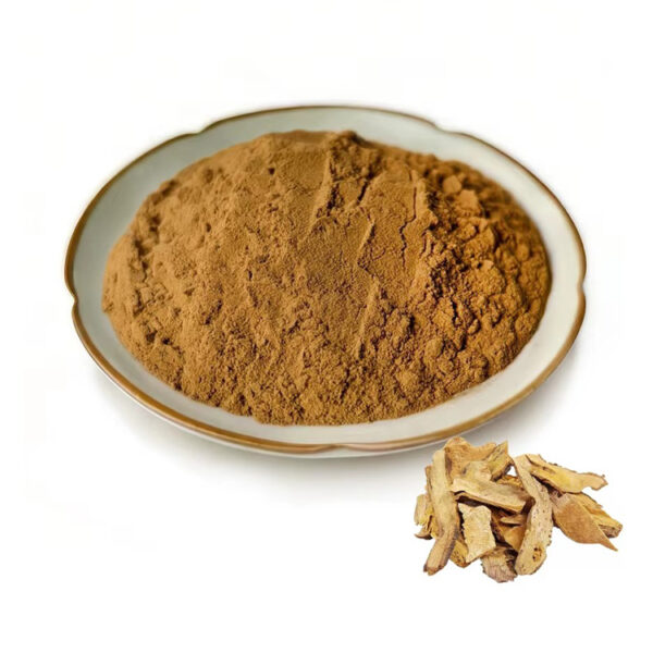 Polygonum cuspidatum root extract powder in a dish beside dried root slices