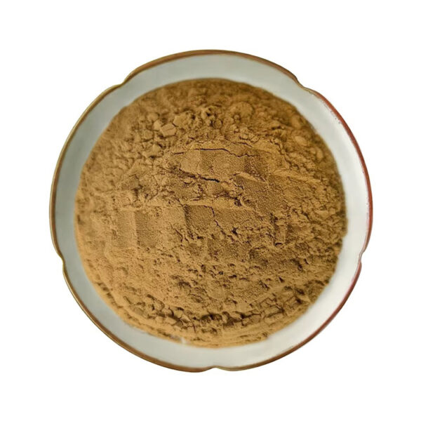 Top view of brown polygonum cuspidatum root extract powder in a round ceramic dish