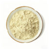 Top-down view of pale cream pumpkin seed extract powder in a scalloped white ceramic dish against a plain white background
