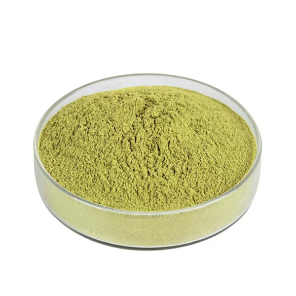 Side view of a glass dish containing yellow-green quercetin powder with a gently mounded surface and fine texture