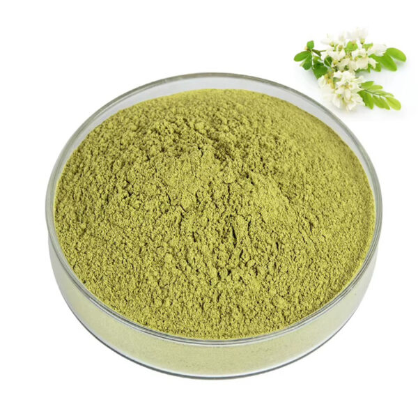 Sophora japonica quercetin powder in a clear glass dish with yellow-green fine powder and white botanical flowers