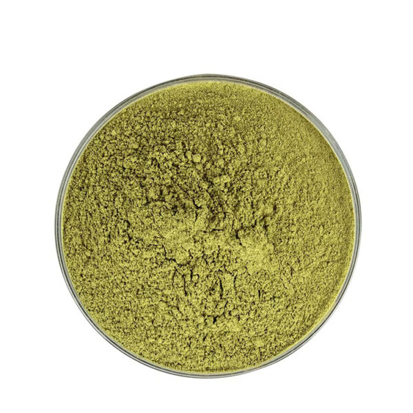Overhead view of olive-green quercetin powder in a circular glass dish, showing its uneven surface and fine granular clusters