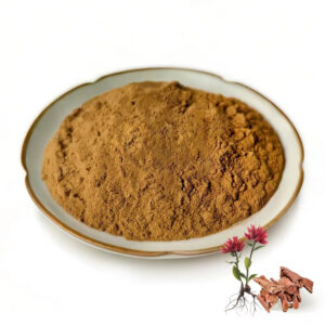 Rhodiola rosea root extract powder in a ceramic dish with small decorative red flowers and woody botanical fragments on a white background
