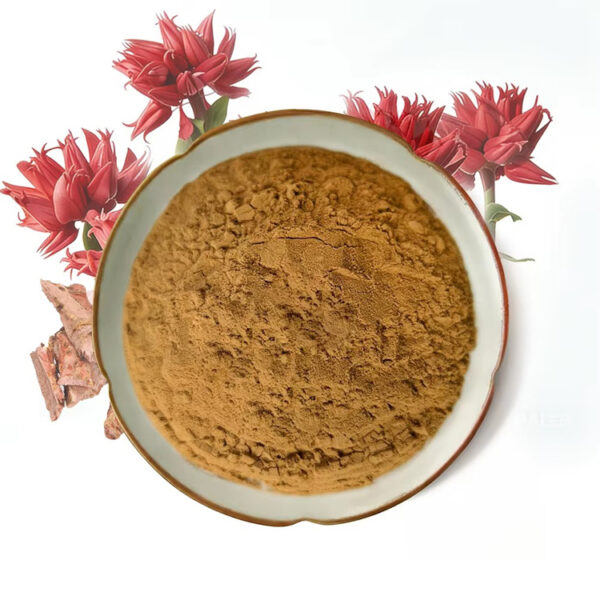 Overhead presentation of Rhodiola rosea root extract powder in a ceramic dish surrounded by red flowers and reddish-brown woody fragments