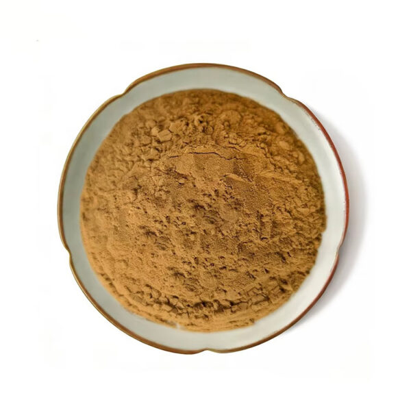 Top view of Rhodiola rosea root extract powder in a shallow ceramic dish, showing its light brown color and uneven powder texture