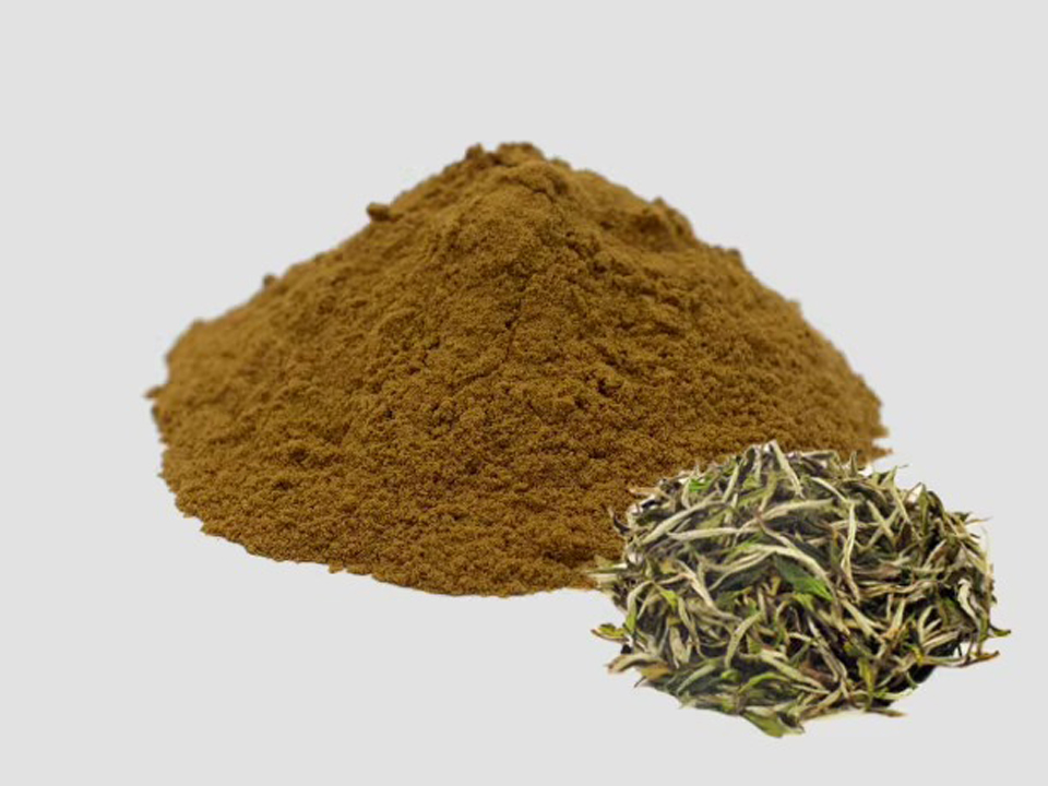 White tea extract powder for evaluating antioxidant ingredients in professional skincare formulations